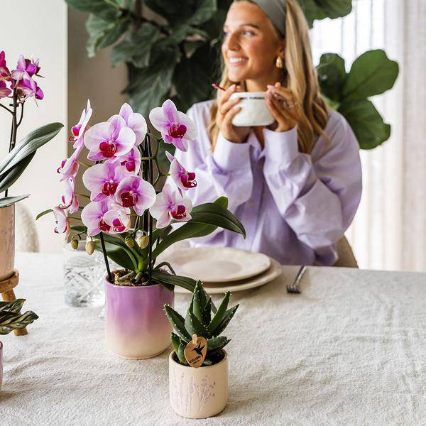 Gradience Übertopf Rosa – Ø6cm – Blumentopf mit Farbverlauf – Glänzender Keramiktopf für Sukkulenten & Mini – Orchideen – Plant
