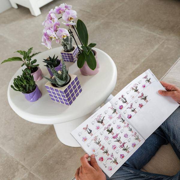 Dekotopf Candy – Flieder – Ø6cm – Farbiger Keramik Blumentopf in glänzender Optik – Runde Form – Für Mini – Orchideen, Sukkulenten & Zimmerpflanzen – Plant