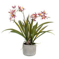 Künstliche Pflanze Orchidee – Bordeaux – 45cm – Täuschend echte Kunstorchidee im Topf – Dekoblume für Wohnzimmer, Büro & Esstisch – Plant