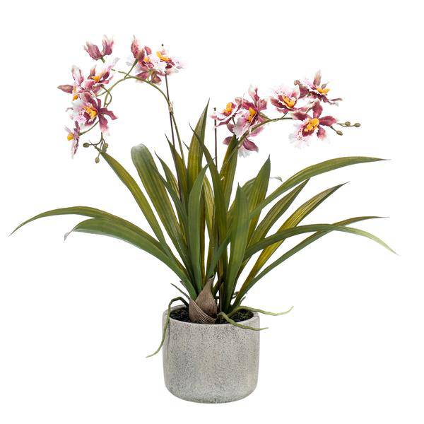 Künstliche Pflanze Orchidee – Bordeaux – 45cm – Täuschend echte Kunstorchidee im Topf – Dekoblume für Wohnzimmer, Büro & Esstisch – Plant
