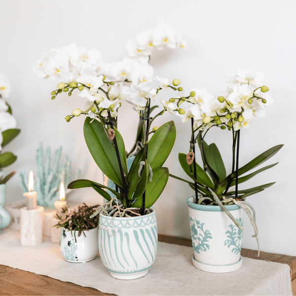 Malaga Übertopf – Türkis – Ø9cm – Blumentopf aus Keramik im mediterranen Stil – Pflanztopf mit handgefertigter Optik – Stilvolle Zimmerdekoration – Plant