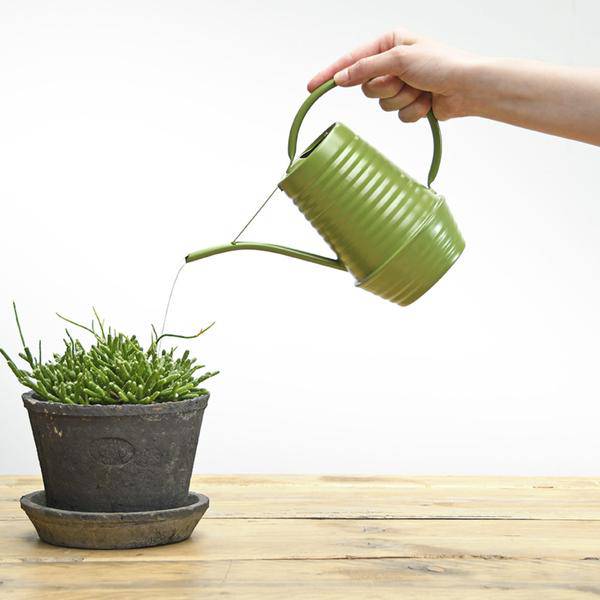 Blumengießkanne Zink – 1 Liter – Grün – Ergonomische Indoor – Gießkanne mit langer Tülle für präzises Gießen – Plant