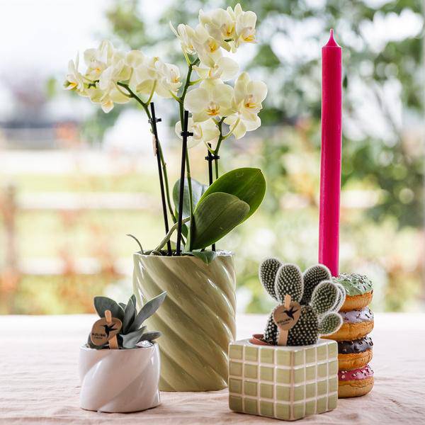Candy Dekotopf hoch Grün Ø9cm – runder Keramik Übertopf in frischem Grün – fröhliches Design für Orchideen & Zimmerpflanzen – Plant