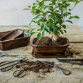 Bonsai Wurzelhaken – 20,5cm – Professionelles Bonsai Werkzeug zum Lösen & Entwirren von Wurzeln – Stabil & langlebig – Für Bonsai Pflege & Umtopfen – Plant
