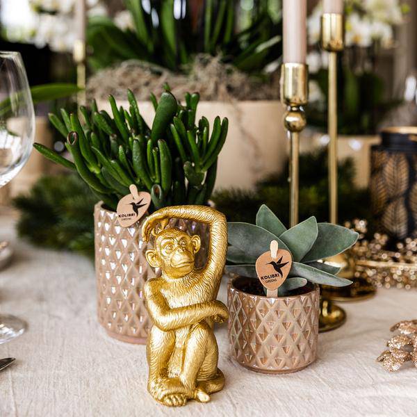 Diamant Perle Dekotopf – Sand – Ø9cm – Blumentopf in Steinoptik – Eleganter Dekotopf für Zimmerpflanzen, Sukkulenten & Kakteen – Plant