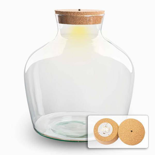 Flaschengarten Terrarienflasche Fat Joe ↕30cm – pflegeleichter Flaschengarten im Glas, Pflanzen Terrarium für Wohnzimmer & Büro – Plant