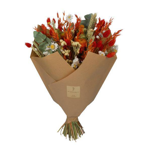 Getrocknete Blumen – Klassischer Blumenstrauß – Orange – 4 Sträuße – ↕60cm – Handgebunden & nachhaltig – Plant