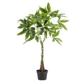 Glückskastanie Pachira Aquatica – Künstliche Zimmerpflanze – ↕90cm – Realistischer Doppelstamm & große glänzende Blätter – Pflegefrei – Plant