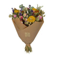 Getrocknete Blumen – Klassischer Blumenstrauß – Multi – 4 Sträuße – ↕60cm – Handgebunden & nachhaltig – Plant