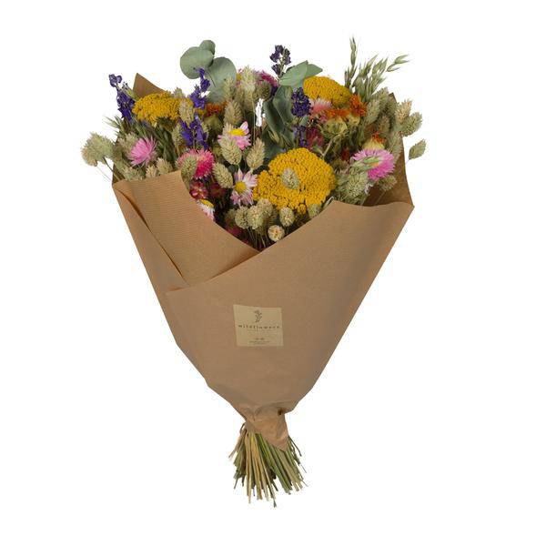 Getrocknete Blumen – Klassischer Blumenstrauß – Multi – 4 Sträuße – ↕60cm – Handgebunden & nachhaltig – Plant