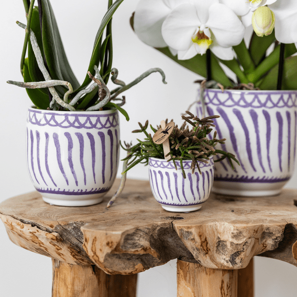 Topf Granada Flieder – Ø9cm – Keramik Blumentopf im mediterranen Stil – Hochglänzender Dekotopf für Zimmerpflanzen, Sukkulenten & Kräuter – Plant