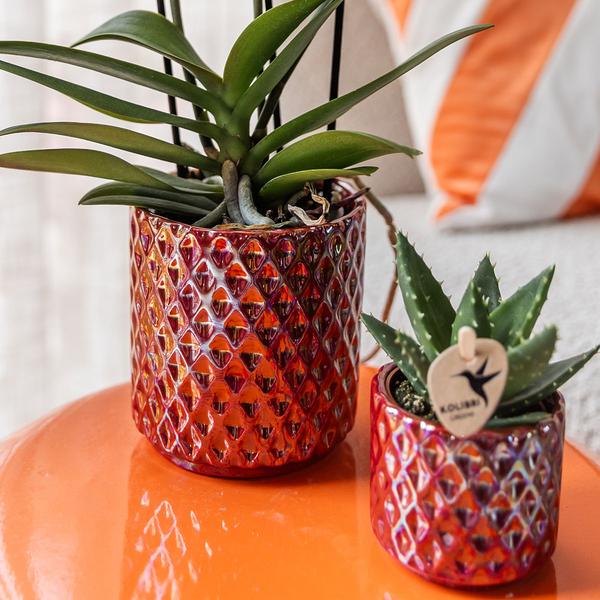Diamant Perle Dekotopf – Rot – Ø9cm – Keramik Übertopf aus der Colourful Optimism Kollektion – Plant