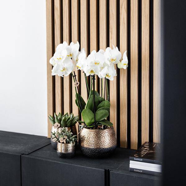 Keramik Blumentopf Kupfer – Pflanztopf Ø12cm – Übertopf glänzend für Zimmerpflanzen, Wohnzimmer, Küche, Büro & Innenräume – Plant