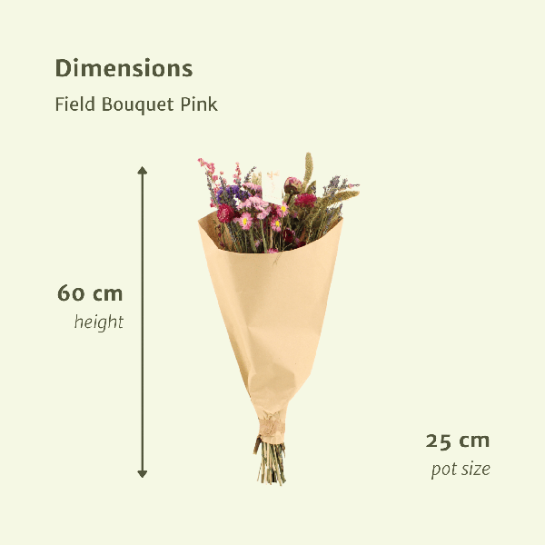 Trockenblumen Feldblumenstrauß Rosa – Blumenstrauß – Ø25cm ↕60cm – Romantische Rosatöne – Pflegefrei – Natürliche Deko für Innenräume – Plant