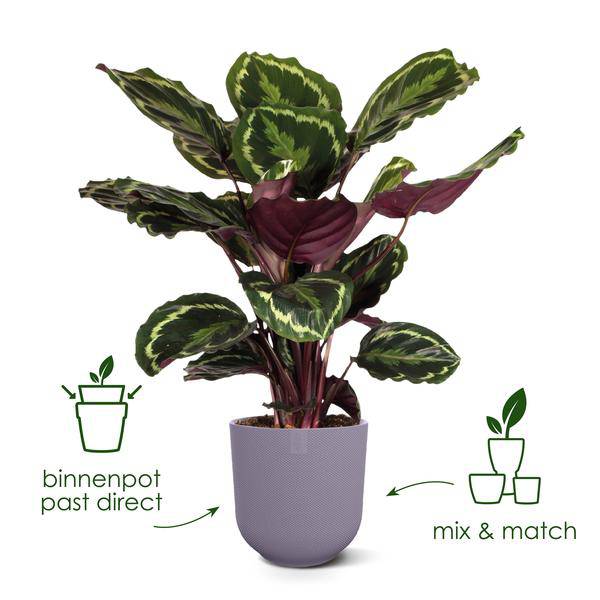 Jazz Pflanztopf Rot – D14 x H13 – Blumentopf für Innen & Außen – Eleganter runder Pflanzkübel aus Kunststoff – Übertopf für Zimmer – Plant