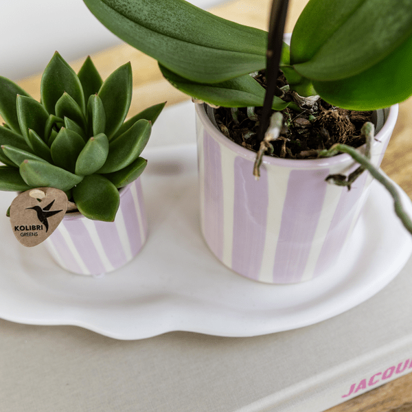 Painted Stripe Blumentopf Rosa Ø9cm – Keramiktopf im Streifenmuster – Pflanzentopf im Mediterranean Sunset Design – Plant