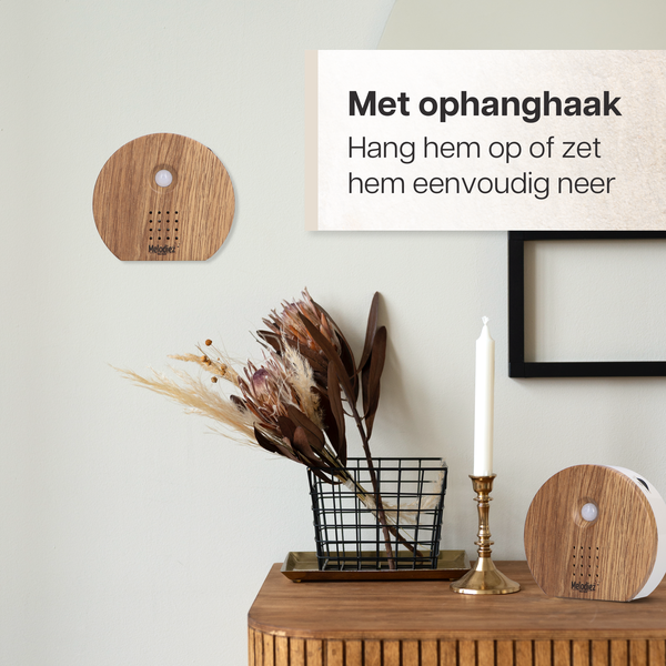 Melodiez Musikbox – Melody Nature Box aus dunklem Holz – Soundbox mit Vogelgezwitscher, Meeresrauschen & Dschungelklängen – Mit Bewegungsmelder – Plant