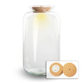 Flaschengarten Terrarium Flasche + LED in Kork ↕43cm – pflegeleichter Flaschengarten im Glas, Pflanzen Terrarium für Wohnzimmer & Büro – Plant