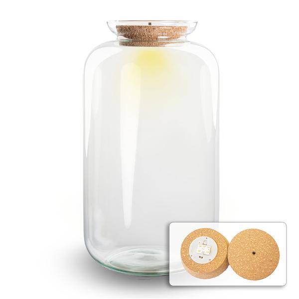 Flaschengarten Terrarium Flasche + LED in Kork ↕43cm – pflegeleichter Flaschengarten im Glas, Pflanzen Terrarium für Wohnzimmer & Büro – Plant