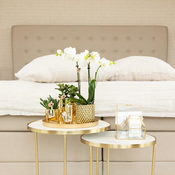 Blumentopf Gold Keramik Metall Ø9cm – moderner Pflanztopf für Zimmerpflanzen, Sukkulenten, Kakteen & Kräuter – Plant