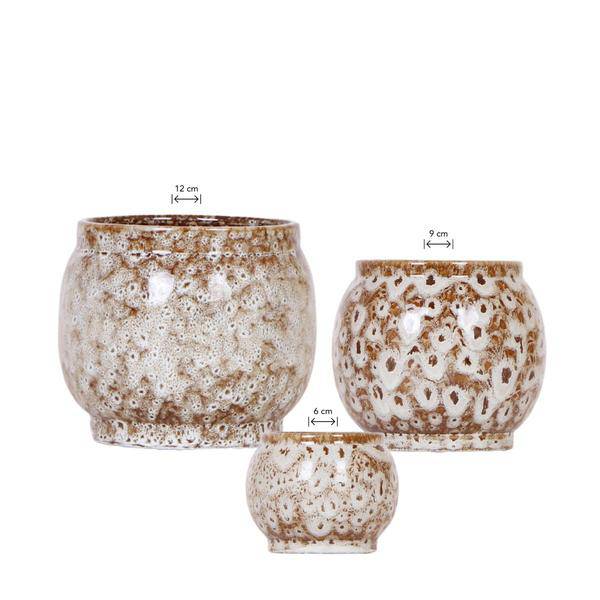Kombi – Angebot Safari Ziertöpfe 3er Set – Ø6cm, Ø9cm & Ø12cm – Stilvolle Pflanztöpfe für Zimmerpflanzen – Exotisches Dschungel – Design – Plant