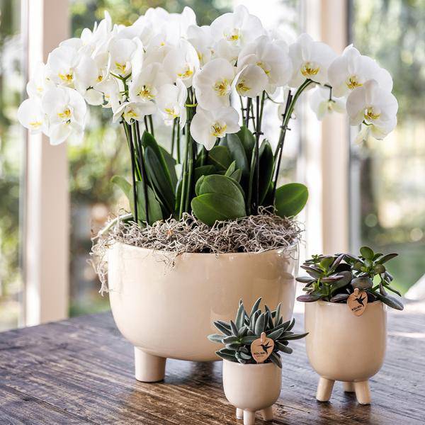 Gummitopf – Travertin – Ø9cm – Keramik Blumentopf in Natursteinoptik – Ziertopf für Zimmerpflanzen, Sukkulenten & Orchideen – Stilvolle Wohnraumdeko – Plant