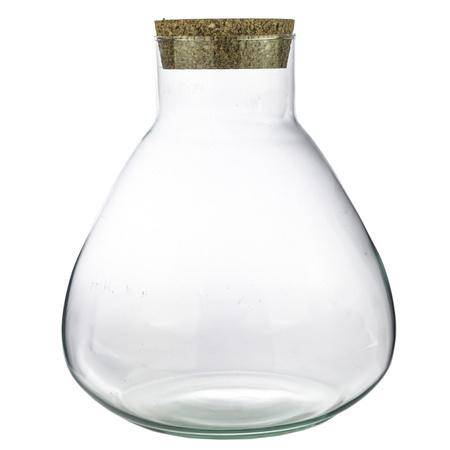 Terrarium Flasche Sammie – Glasgefäß für geschlossenes Terrarium oder Flaschengarten – dekoratives Pflanzgefäß ↕26,5cm – Plant
