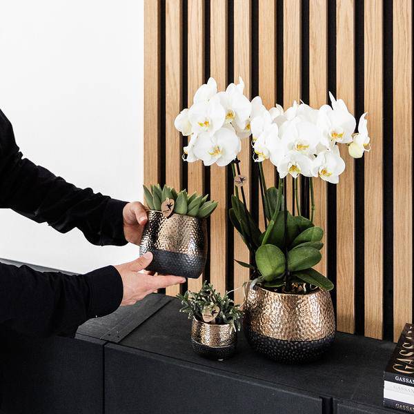 Blumentopf Elite Kupfer – Ø9cm – Moderner Keramik Übertopf – Dekorativer Pflanztopf für kleine bis mittelgroße Zimmerpflanzen – Stilvolle Innendeko – Plant
