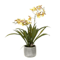 Künstliche Pflanze Orchidee – Gelb – Braun – 45cm – Täuschend echte Kunstorchidee im Topf – Dekoblume für Wohnzimmer, Schlafzimmer, Küche & Büro – Plant