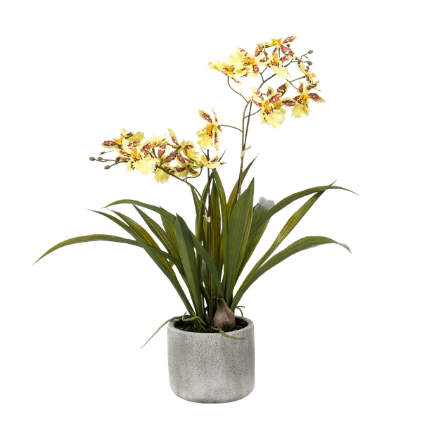Künstliche Pflanze Orchidee – Gelb – Braun – 45cm – Täuschend echte Kunstorchidee im Topf – Dekoblume für Wohnzimmer, Schlafzimmer, Küche & Büro – Plant