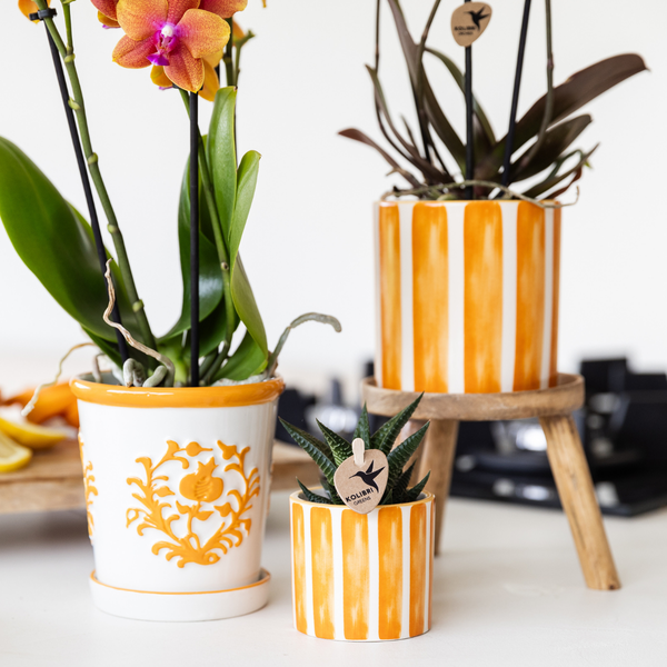 Dekotopf Keramik – Blumentopf Bemalter Streifen Orange – Ø9cm – Modernes Pflanzgefäß für Zimmerpflanzen & Deko – Plant