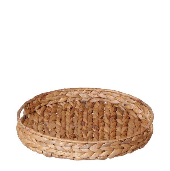 Dekorative Schale Zimmerpflanze Ø30cm – pflegeleichte Grünpflanze für Wohnzimmer, Büro & helle Standorte kaufen – Plant
