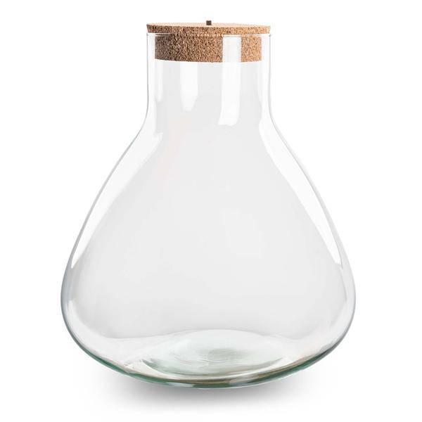 Flaschengarten ↕32cm – pflegeleichter Flaschengarten im Glas, Pflanzen Terrarium für Wohnzimmer & Büro – Plant