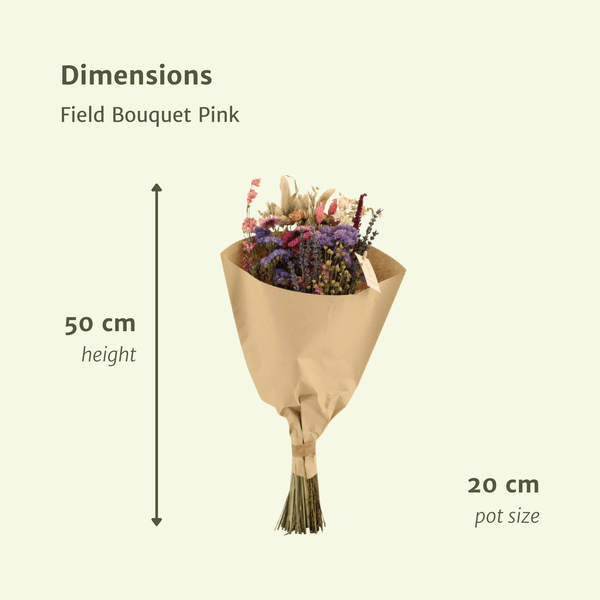 Trockenblumenstrauß – Feldblumen Rosa – Ø20cm ↕50cm – Getrocknete Blumen – Romantisch & Natürlich – Dekostrauß für Innenräume – Plant