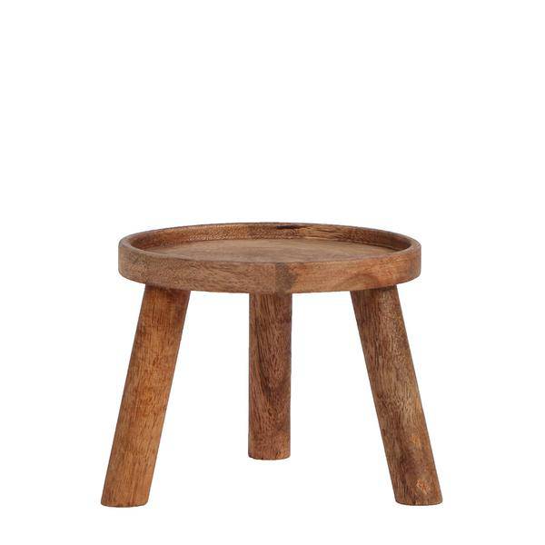 Pflanzenständer Holz Ø12cm Zimmerpflanze Ø12cm ↕10,5cm – pflegeleichte Grünpflanze für Wohnzimmer, Büro & helle Standorte kaufen – Plant
