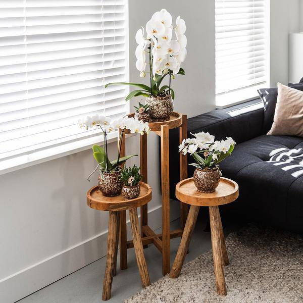 Blumentopf Safari – Ø6cm – Handgefertigter Keramik Übertopf – Dekorativer Mini Pflanztopf für kleine Zimmerpflanzen, Kakteen & Sukkulenten – Plant
