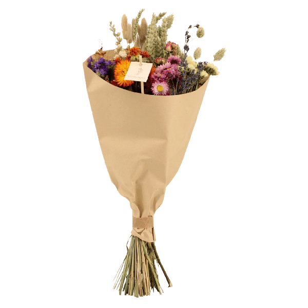 Trockenblumen Feldblumenstrauß Multi Ø20cm ↕50cm – dekorativer Trockenblumenstrauß für Vase, Tischdeko, Wohnzimmer & Geschenkidee – Plant