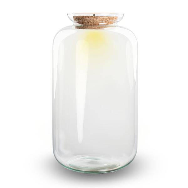 Flaschengarten Terrarium Flasche + LED in Kork ↕43cm – pflegeleichter Flaschengarten im Glas, Pflanzen Terrarium für Wohnzimmer & Büro – Plant