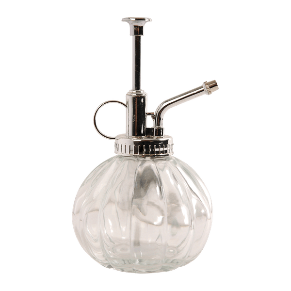 Pflanzensprüher Glas Klar/Silber – Ø8,8cm – ↕15,4cm – 0,25L – Handsprüher mit feinem Sprühnebel – Blumensprüher für Zimmerpflanzen & Orchideen – Plant