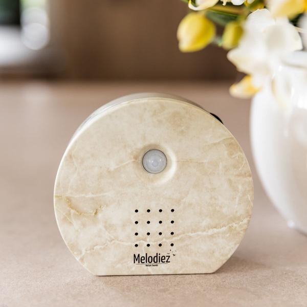 Melodiez Spieluhr Naturstein – Melody Nature Box – Klangbox mit Bewegungsmelder – Vogelgesang, Meeresrauschen & Dschungelklänge – Plant
