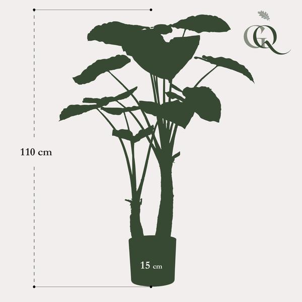 Alocasia – Künstliche Zimmerpflanze – Pfeilblätter – ↕110cm – Tropische Deko für Wohnzimmer, Flur & Wintergarten – Plant