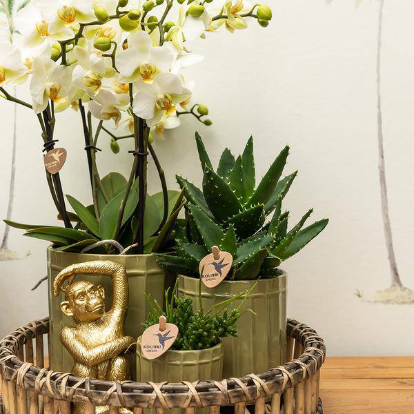Ornament Dekoskulptur Sitzender Affe – Gold – Handgefertigte Polystone – Figur – 13cm – Verspieltes Dekoaccessoire für Zuhause und Pflanzensets – Plant