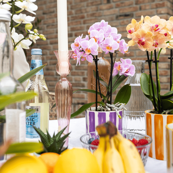 Dekotopf Keramik – Blumentopf Bemalter Streifen Orange – Ø9cm – Modernes Pflanzgefäß für Zimmerpflanzen & Deko – Plant