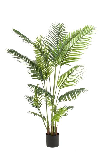 Kunstpalme Howea forsteriana – 160cm – Realistische Kentia – Palme – Pflegefrei – Hypoallergen – Für Wohnzimmer, Büro & Wintergarten – Highlight – Plant