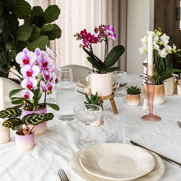 Gradience Übertopf Rosa – Ø9cm – Keramik – Blumentopf mit Farbverlauf – Glänzender Übertopf für Orchideen, Zimmerpflanzen & Sukkulenten – Plant
