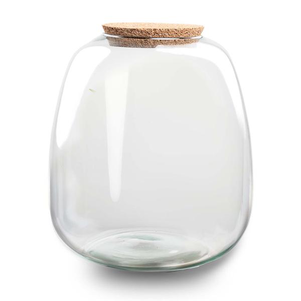 Terrarium Flasche Emma – Glasflasche 25x23cm – Dekoglas für Pflanzenterrarium, Flaschengarten & kreative Bepflanzungen – Deko – Plant