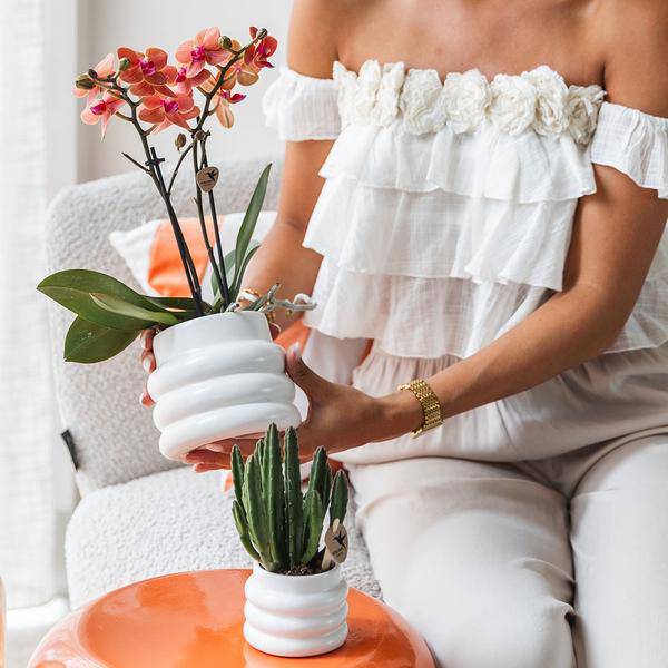 Bubble Dekotopf – Weiß – Ø9cm – Keramik Blumentopf mit Struktur – Stilvoller Pflanzentopf für Sukkulenten, Kakteen & kleine Zimmerpflanzen – Plant