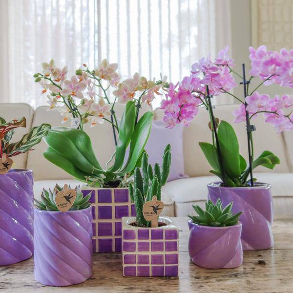 Candy Blumentopf Flieder Ø9cm – Keramiktopf in runder Form – Pflanzentopf für Orchideen, Sukkulenten & Grünpflanzen – Plant