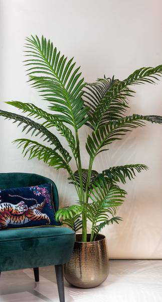 Kunstpalme Howea forsteriana – 160cm – Realistische Kentia – Palme – Pflegefrei – Hypoallergen – Für Wohnzimmer, Büro & Wintergarten – Highlight – Plant