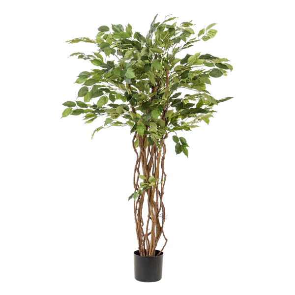 Ficus Liana – Künstliche Zimmerpflanze – ↕140cm – Realistische Stiefmütterchen – Pflanze – Dekoration für Wohnzimmer, Flur & Wintergarten – Plant